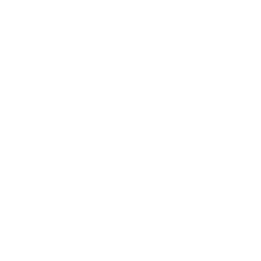 Ford-Logo